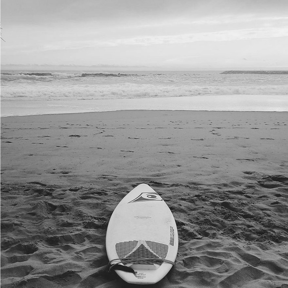 Meet your Posher, Anslea - Picture 1 of 1